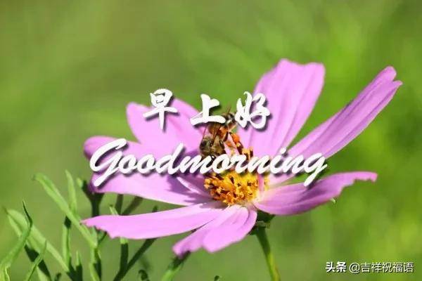 二月初一早上好祝福语图片带字带祝福语问候亲友短信简短