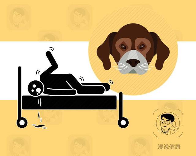 狂犬病發作到底是一種怎樣體驗?從發病到死亡,往往就只有這3步