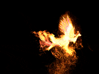 记住:"beautiful bird"的意思不只是"漂亮的小鸟"