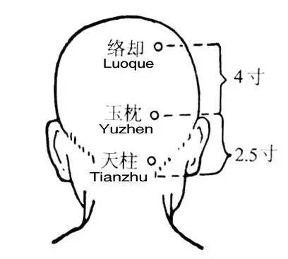 天柱是什么意思图片