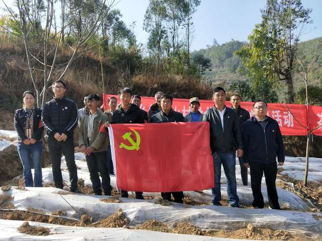 云县茶房乡:把主题党日开到田间地头