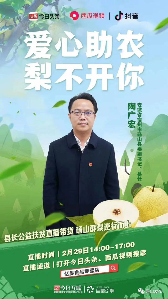 县长上阵