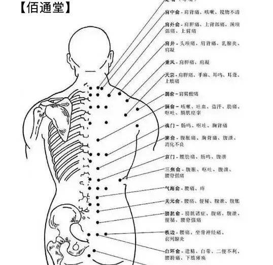 人体脊柱与二十四节气的关系