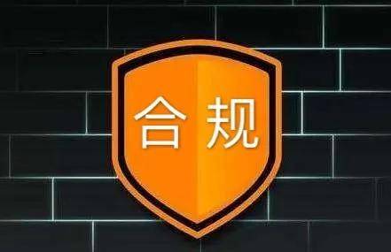 * 不符合相关法律法规和监管要求的决策风险; * 授权,员工招聘和人事