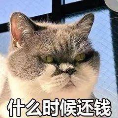让别人还钱的表情包合集_手机搜狐网