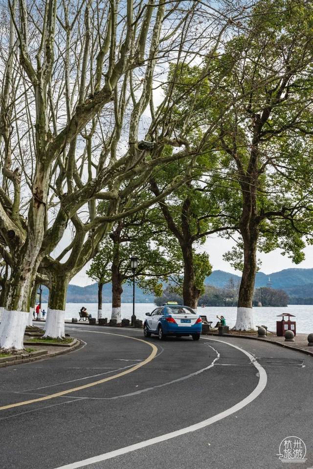 实拍杭州的春天美如画