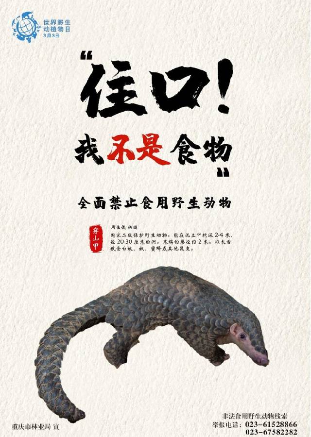 重庆市民 这里有份拒食"野味"倡议书,请查收!