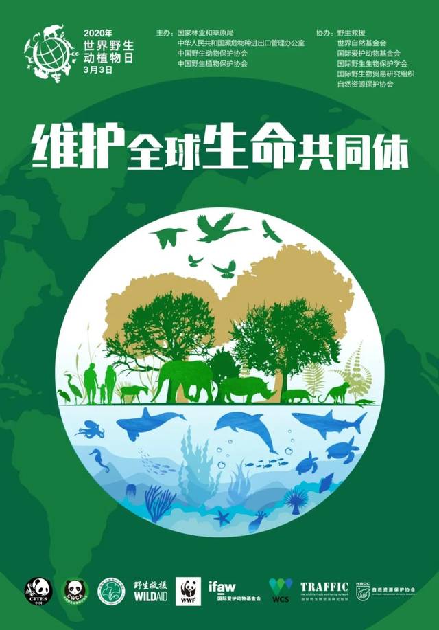 素材來源:上海市林業總站(上海市野生動植物保護事務中心) 部分圖片