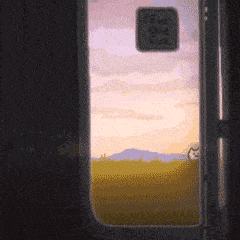 表情抖音上小猫追火车系列动态表情包1