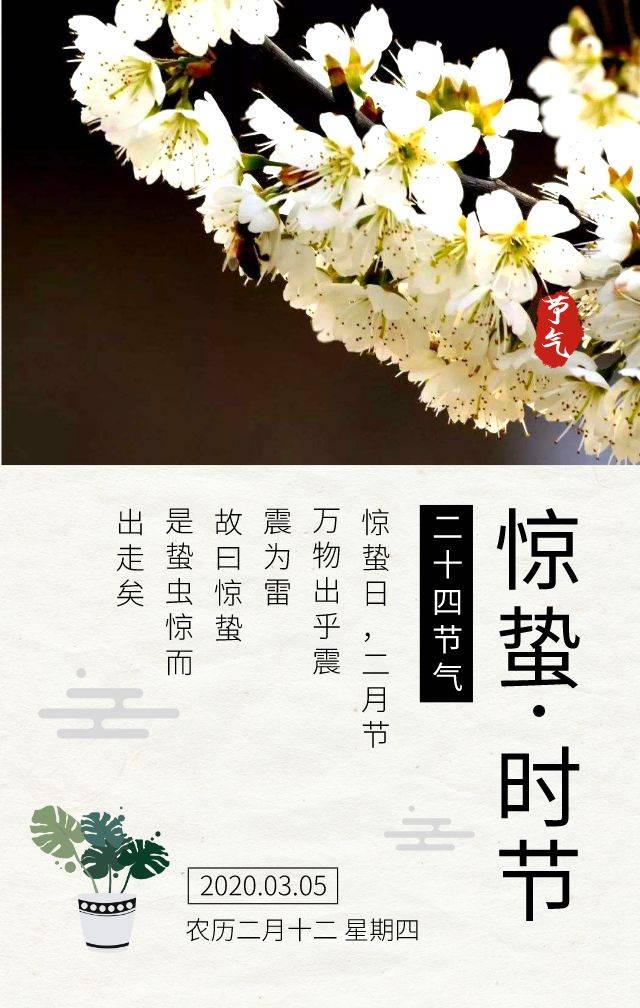 明日惊蛰|一声惊雷过后,北京人心里的春天醒了_手机搜狐网