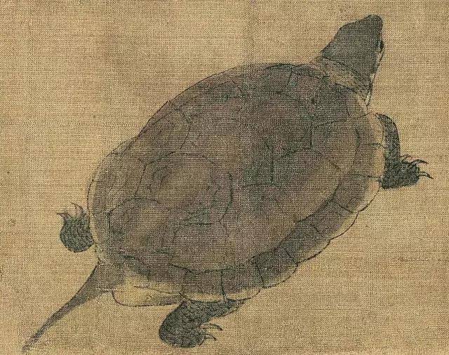 王少桓黄筌的技法对后世的工笔花鸟产生了深远的影响