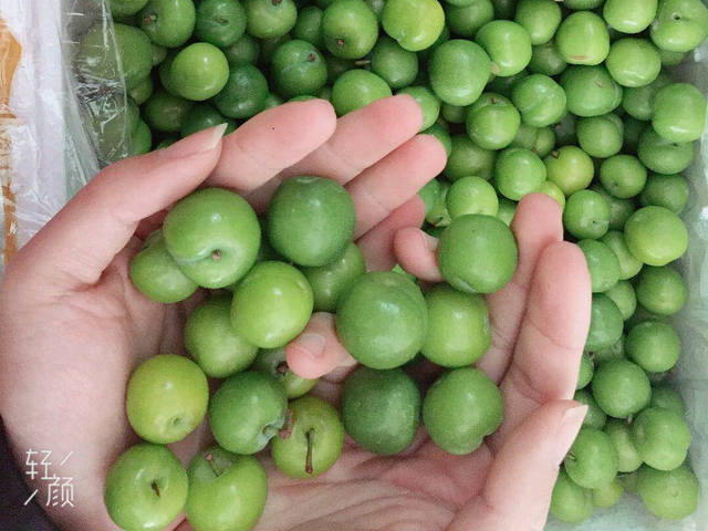 汕尾特产甘草李子那种似酸似甘的感觉