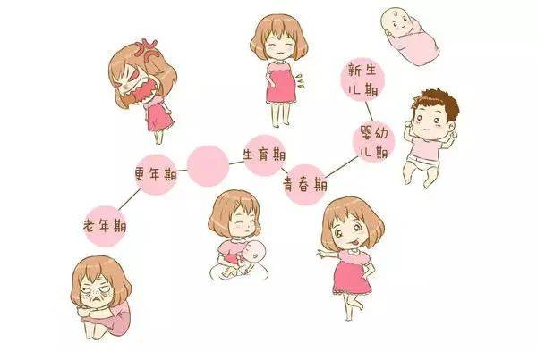 中医谈女性保健养生(一) ——女性一生各阶段的生理分期及特点_手机