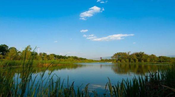 运城垣曲黄河小浪底库区入选省级重要湿地