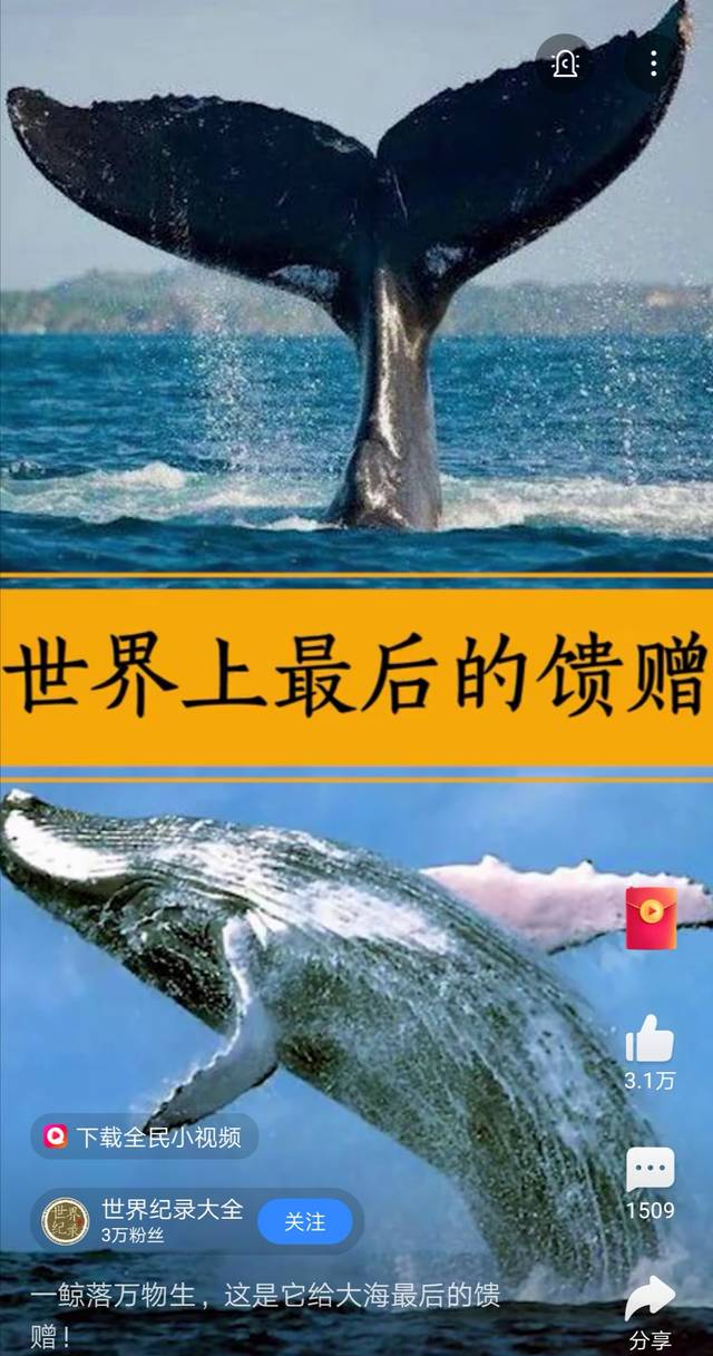 长见识07:世界上最后的馈赠【2020.3.10.】