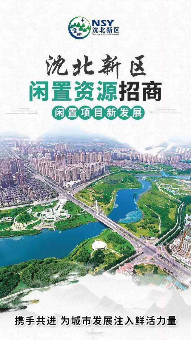 沈北新区电子网站建设方案 搜狐网