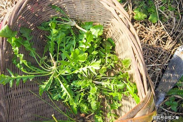 俗称"油勺子"包馄饨味道好,老一辈都吃过,如今少人识