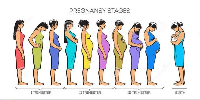 孕妇变化图片10个月图片