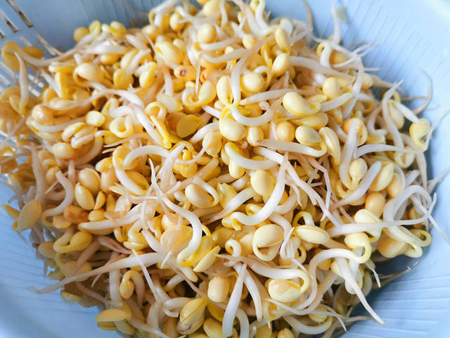 春天这芽菜要多吃,家常做法最香,一盘上桌一会儿见底,下次多做