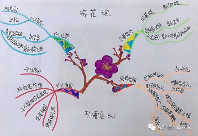 梅花魂课文思维导图图片