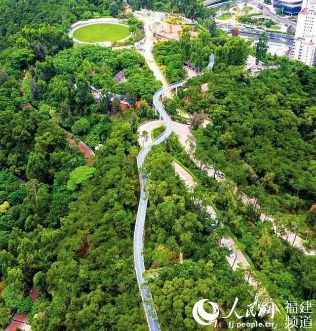 厦门东坪山登山步道图片