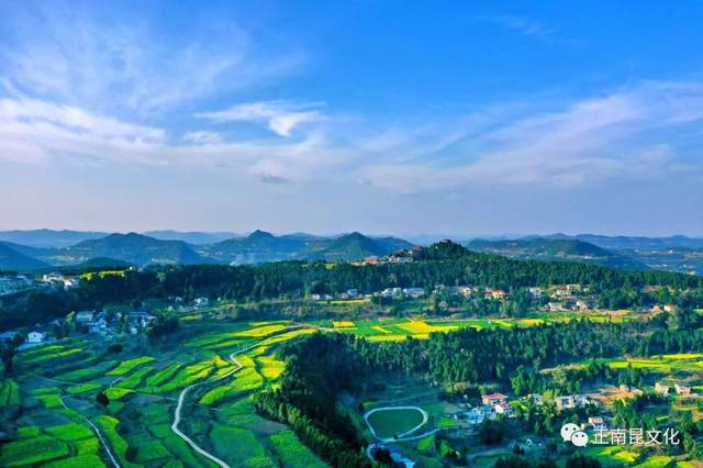 抗击疫情 拥抱春天,2020南部县西水镇网络油菜花文化节_手机搜狐网