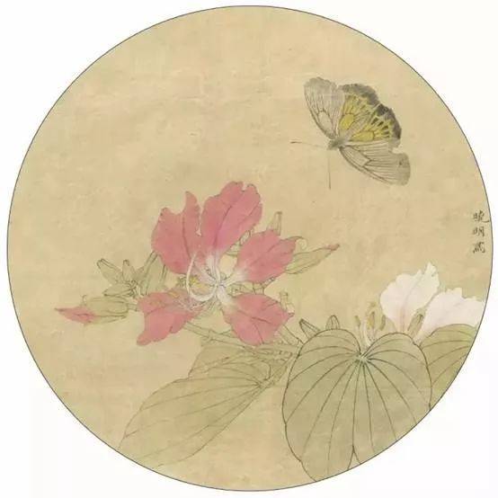 国画教程】工笔紫荆花和蛱蝶绘制过程，画起来_搜狐网