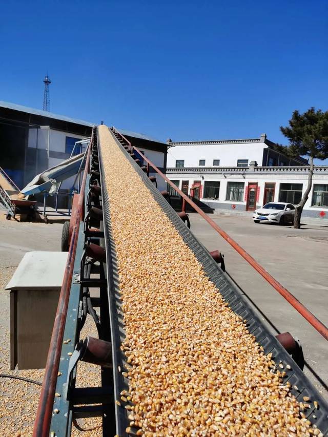 粮囤满仓什么意思,形容粮食满仓的诗词,形容粮食满仓的字_大山谷图库