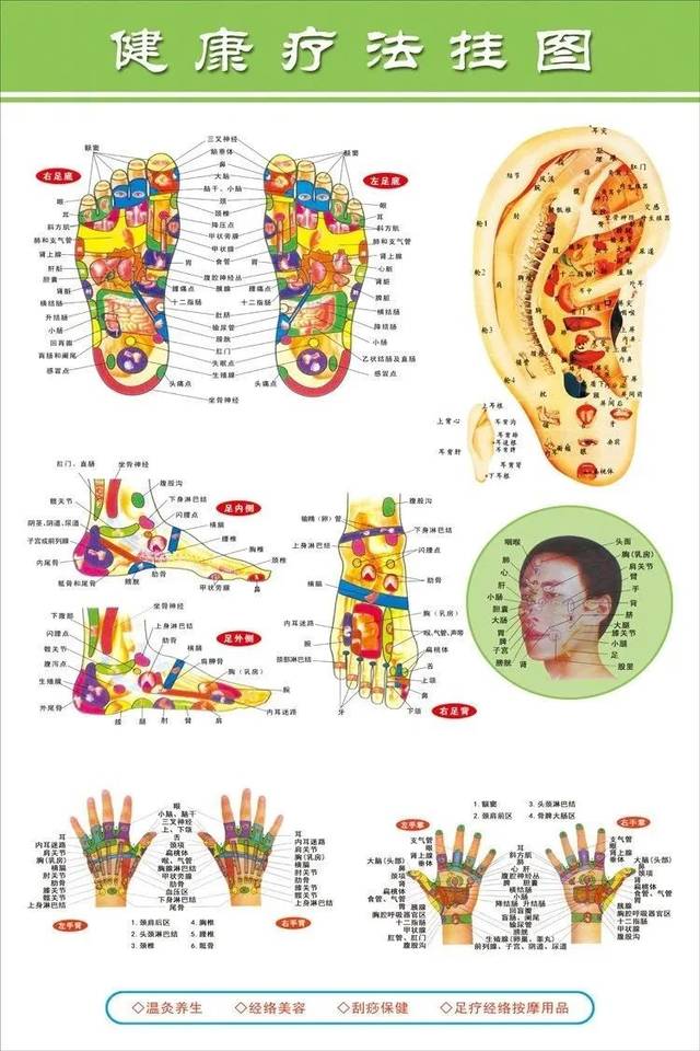 身体反射区及疾病图解图片