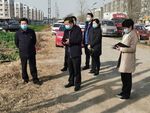 华龙区区委书记刘洪浩督导调研城区绿化工作