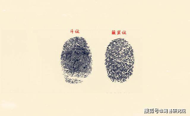 "斗纹一到十,越多越富有",你的手上有几个斗?