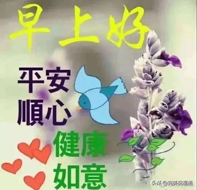 微信週三早上好祝福語短句,朋友圈最美的早安祝福文字表情圖片