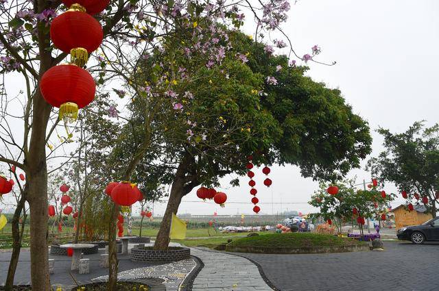 洗脚上楼,橘花飘香,一个贫困村的巨变——宾阳县中华镇大庄村新农村