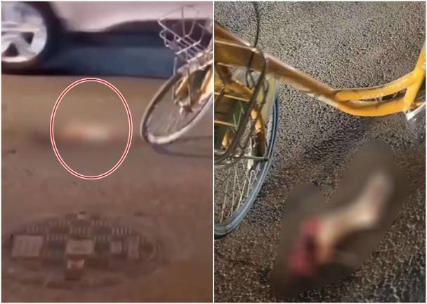 陕西街头发现人体残肢,警方通报:女子跳楼摔断了腿_手机搜狐网