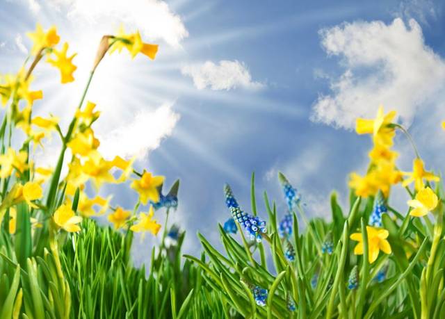 2020年3月19日智慧人生的经典句子做一朵向日葵面朝太阳心纳阳光