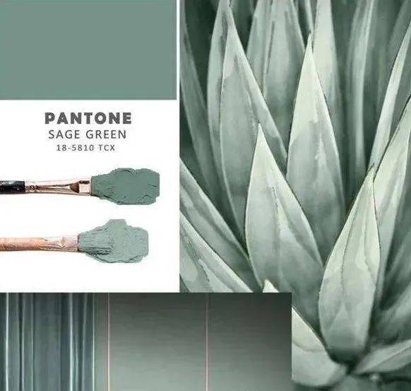 今年春天"鼠尾草绿"火了,穿上它显白又气质!