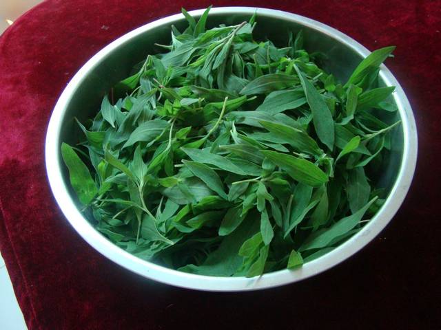 为啥自己薅的野菜才最好吃? | 豫记