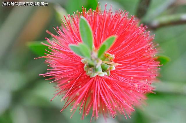 马运势:生肖属马人2022年1月运势算命