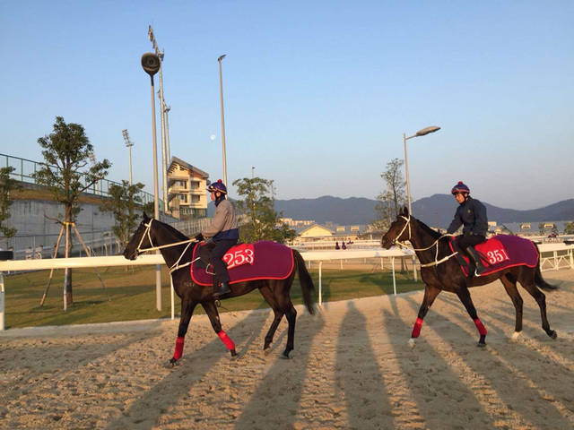 探秘海南赛马:"马"步声已近,但未到喝"彩"时