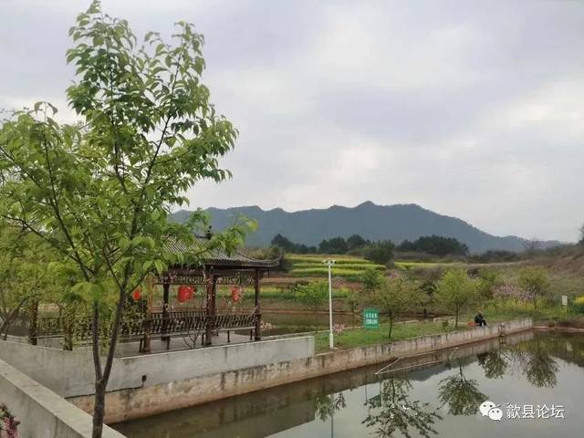 转发免费领园票,歙县屯之谷3月28日开园啦.