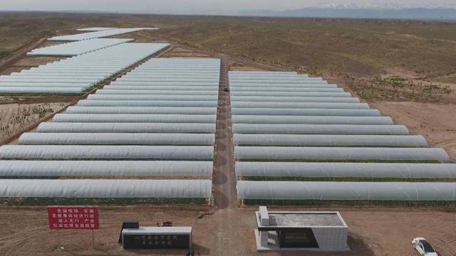 钱金文口中的喜人变化要从该村建成的集农业生产,农业观光,瓜果采摘和