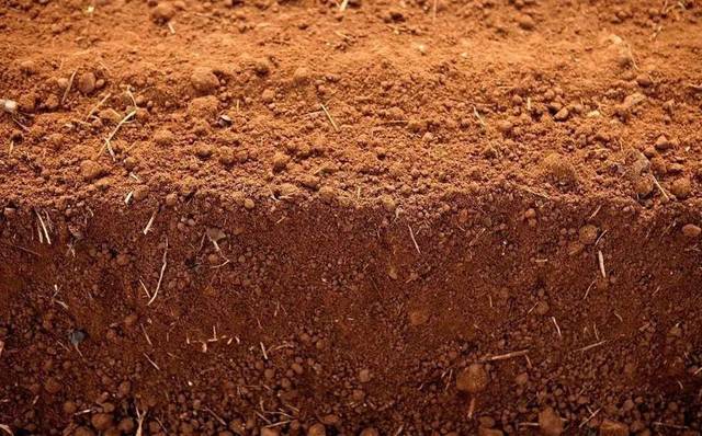 【景宁县中心幼儿园】大班第六期:泥土大拆解