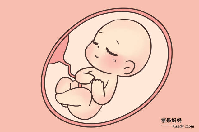 妈妈在活动的时候,肚子里的宝宝会随着羊水在晃动,这就是胎儿最初的