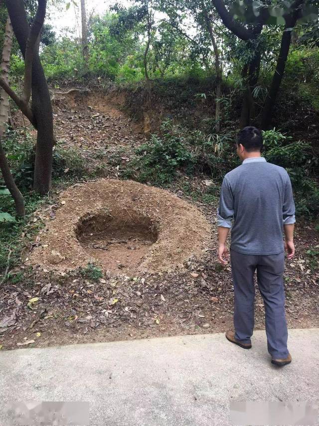 从2019年1月起,均安已经对这些山坟进行了清理,还对被严重破坏的山体