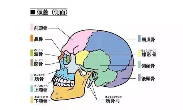 通过徒手整形,就可以一定程度上复原,调整颧骨,下颌骨等关键部位骨头