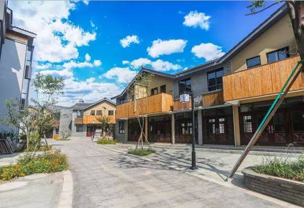 田园社区效果图