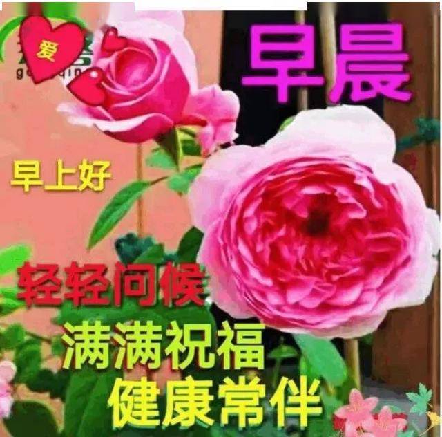 3月31日週二清晨早上好問候祝福動態表情圖片