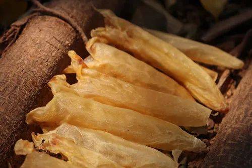 鱼肚,乃属海八珍之一