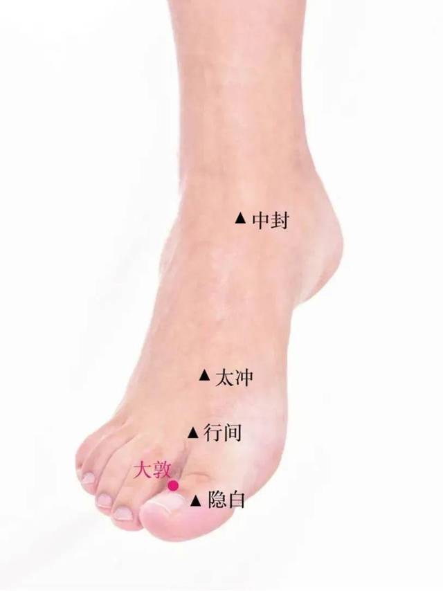 肝经从我们的大脚趾往上,一直到胃附近的期门穴,总共14个穴位,个个都