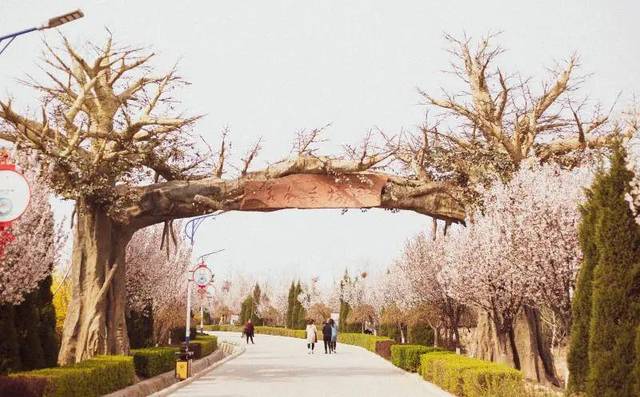 邀请函:霍州市永和公园赏花季欢迎您的到来_手机搜狐网